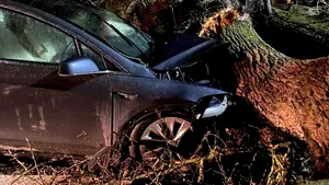 Autopilotul de la Tesla a salvat două familii, aflate în maşini diferite