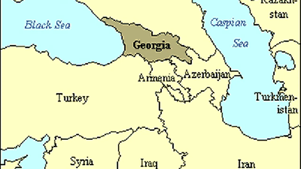 Arabii investesc în Georgia, ignorând criza şi instabilitatea politică