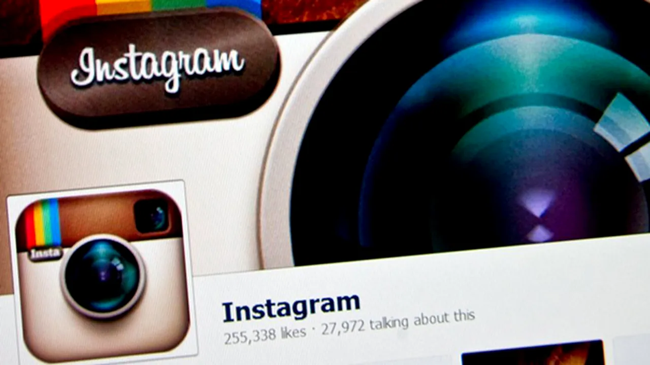 Femeile şi pisicile, starurile platformei Instagram, în 2015 - GALERIE FOTO 