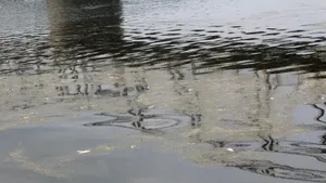 FOTO Sute de peşti au fost găsiţi morţi în râul Olt, iar autorităţile au început o anchetă 