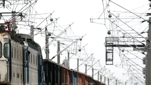 Aproape patru tone de cereale transportate fără documente legale au fost confiscate