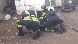 Momentul în care doi căţei şi o pisică sunt resuscitaţi de pompieri, după ce au fost salvaţi dintr-o casă cuprinsă de flăcări - VIDEO