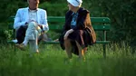 Anunţ pentru pensionarii de invaliditate: Ministerul Muncii anunţă că dreptul la muncă a fost extins