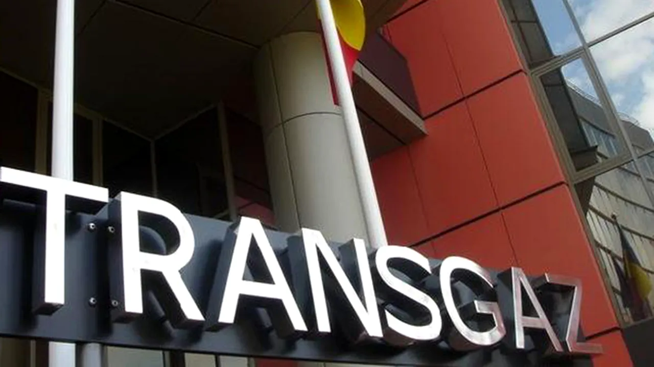 Ion Sterian a fost numit director general al Transgaz