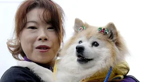 Pusuke, cel mai bătrân câine din lume, a murit