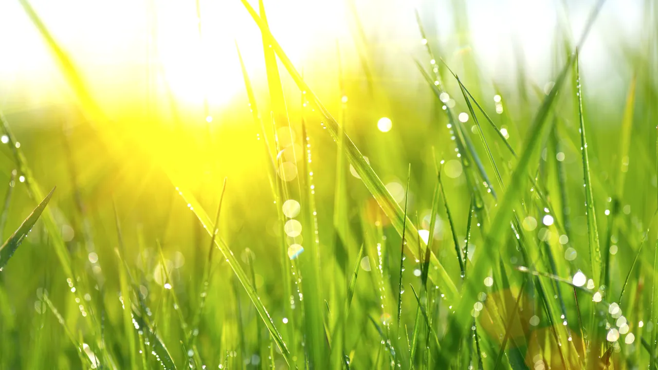 Vremea devine călduroasă în cea mai mare parte a ţării. Zonele unde temperaturile vor fi caniculare. PROGNOZA METEO pentru sâmbătă şi duminică