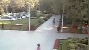 Cadavrul unui câine, ridicat de anchetatori din parcul Tei, din zona în care Ionuţ a fost găsit mort. Câinele descoperit era maidanez