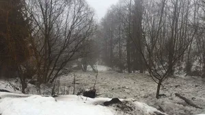 Cod portocaliu de inundaţii pentru  judeţele Maramureş, Satu Mare şi Bistriţa-Năsăud