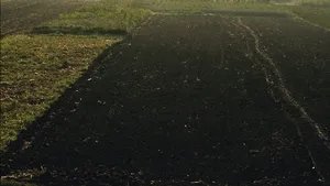 Oficialii din R. Moldova vor să-l convingă pe Porumboiu să investească în agricultura lor