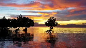 Palawan, desemnată ”cea mai frumoasă insulă din lume” - FOTO