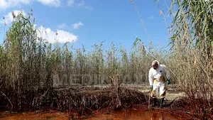 Peste 55 de kilometri din coastele statului Louisiana, atinşi de pata de petrol - VIDEO