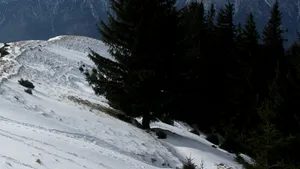 Strat de zăpadă de peste douăzeci de centimetri în Masivul Parâng
