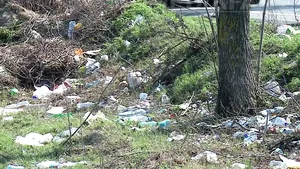 Gunoaie pe kilometri întregi lângă Vama Nădlac, principala poartă de intrare în ţară dinspre Vest - FOTO