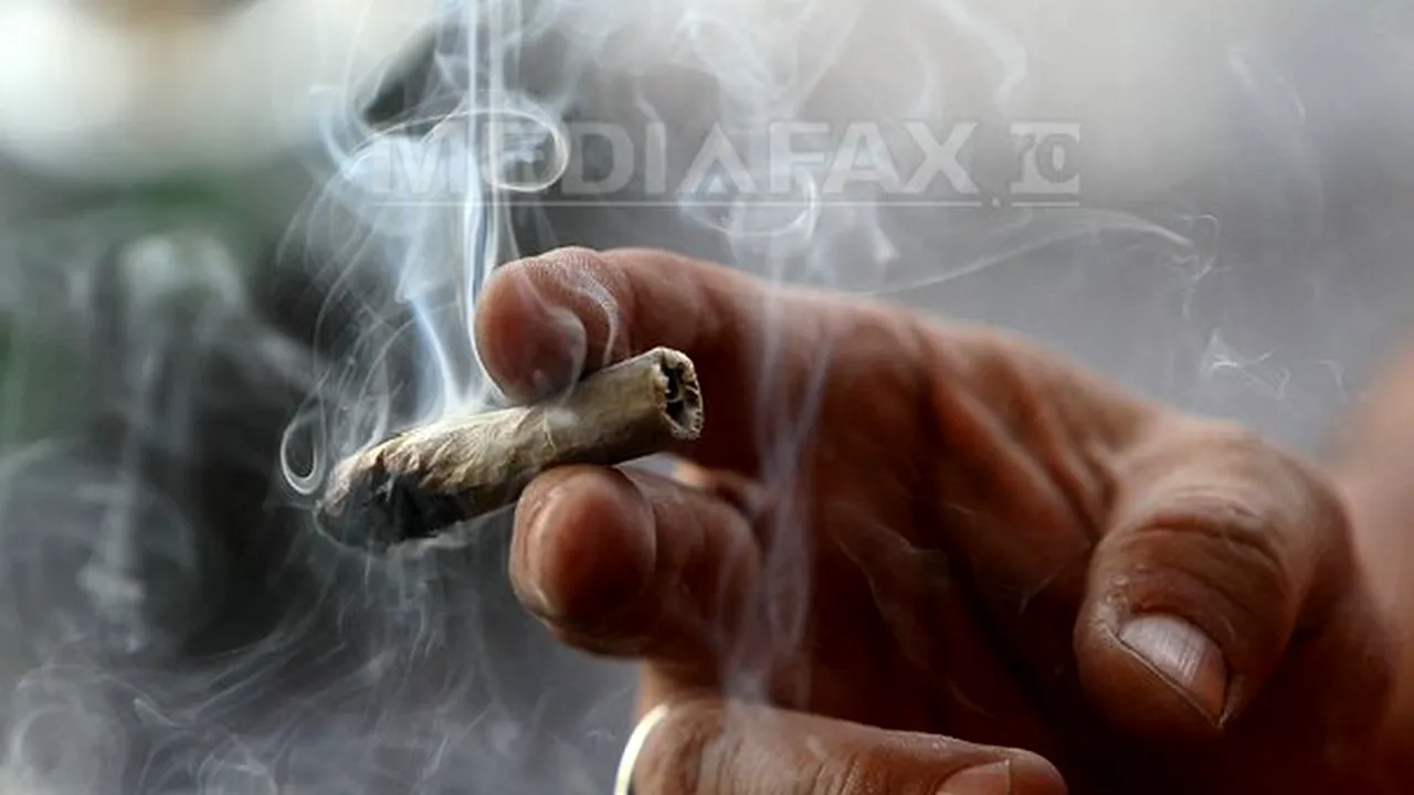 Deputat polonez: Vreau să fumez marijuana în Parlamentul de la Varşovia