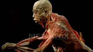 Timişoara: Aproape 400 de vizitatori în prima zi a controversatei expoziţii 