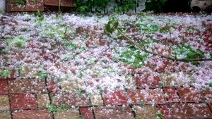 Meteo. Alertă ANM în vigoare: Judeţ sub COD ROŞU de vreme rea