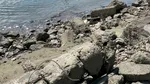 Poluare accidentală pe fluviul Dunărea, în zona Turnu Măgurele, după scufundarea unei nave