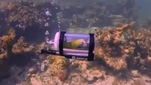 Un bărbat a construit un minisubmarin pentru papagalul său. Este primul papagal care face snorkeling