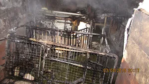 Satu Mare: Două persoane intoxicate cu monoxid de carbon, după un incendiu la Spitalul de Psihiatrie