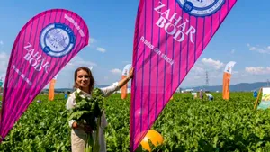 APEL CĂTRE FERMIERI: „În Ardeal, încă se munceşte!”, consideră Mihaela Neagu, acţionarul fabricilor de zahăr Bod şi Luduş