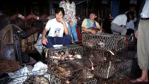 Obiceiurile care ne-au adus aici: Câini fierţi de vii în Wuhan şi pisici spânzurate