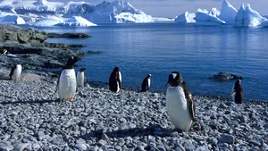 IPOTEZĂ alarmantă: Care ar fi consecinţele unei încălziri globale cu 4 grade Celsius - VIDEO