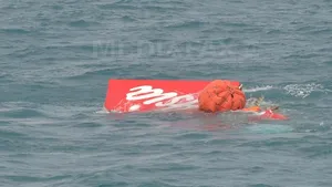 O parte din epava avionului AirAsia prăbuşit în Marea Java a fost scoasă la suprafaţă