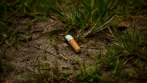 În plin sezon al incendiilor, aproape 18% dintre fumătorii din Franța recunosc că aruncă chiștoace din mașină