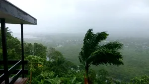 Eurobarometru: Cea mai mare grijă a europenilor sunt schimbările climatice, nu şomajul sau economia 