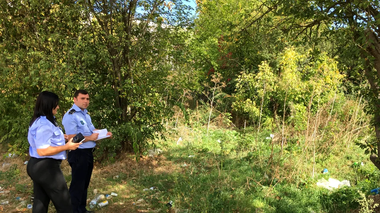 Amenzi de peste jumătate de milion de lei pentru terenuri neîngrijite şi ambrozie

