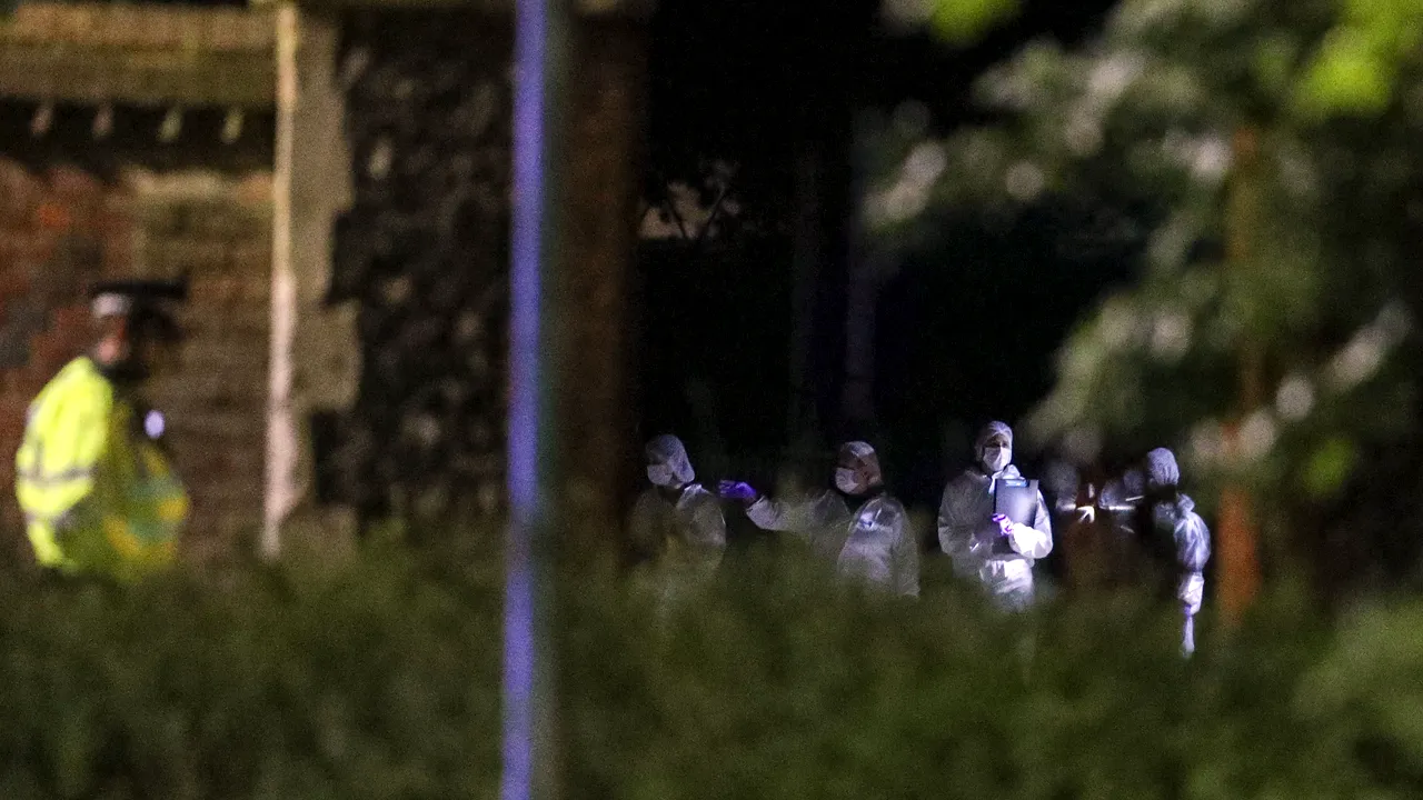 Atac sângeros în Marea Britanie: trei oameni au fost înjunghiaţi mortal într-un parc