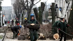 Băsescu despre tăierea teilor din Iaşi: O greşeală. Ca şi cum ai tăia o creangă din teiul lui Eminescu