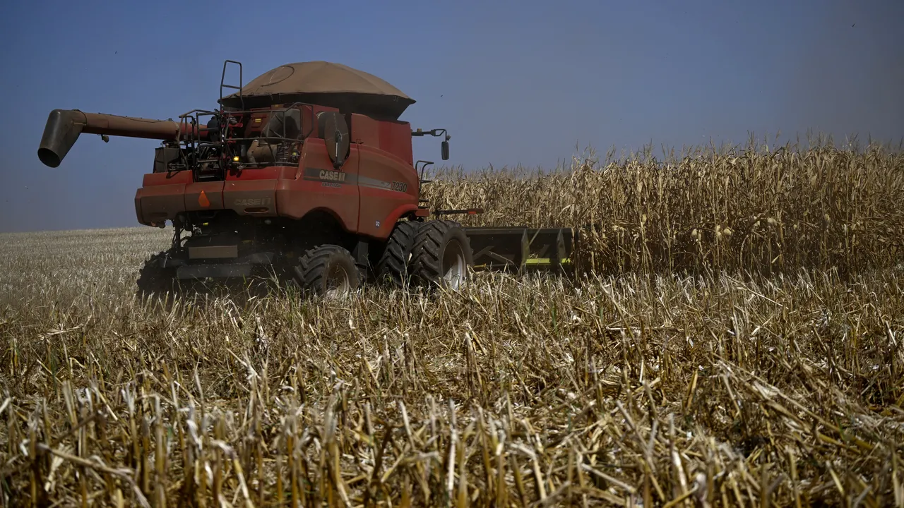 AFIR: Fondurile pentru sprijinirea tinerilor fermieri prin DR-30, componenta naţională, a fost epuizate