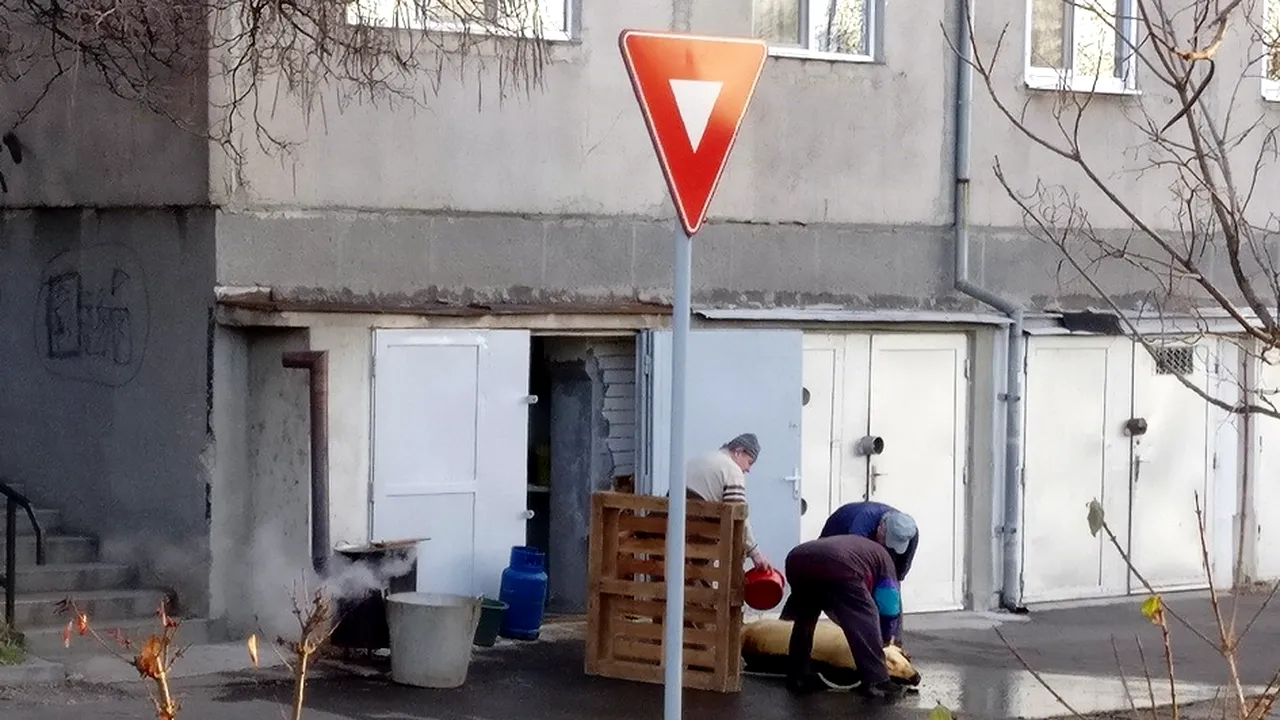 Amenda primită de un orădean după ce şi-a tranşat porcul în spatele blocului