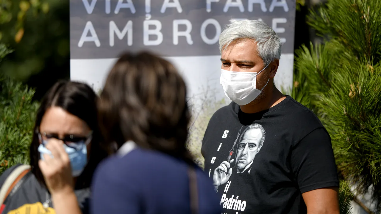 Ambrozia, din ce în ce mai agresivă. Când este perioada de înflorire, când emite polen. Sfaturi de la un medic primar în Alergologie