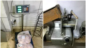 Condiţii inumane de carantină. Protecţia Consumatorului a aplicat sancţiuni dure în urma controalelor efectuate | FOTO