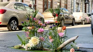 FOTO & VIDEO: A înflorit asfaltul! Gropile din Bucureşti, semnalate cu aranjamente florale