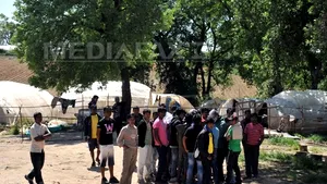 Grecia şi Malta vor să împartă povara imigraţiei cu Europa