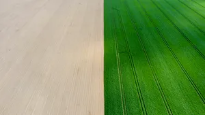 COMENTARIU Marius Oprea | Fermierul belgian şi istoria: de ce nu mutăm graniţe cu tractorul