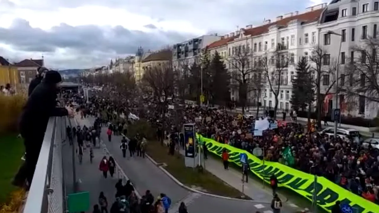 Protest în faţa Ministerului Mediului din Viena, faţă de tăierea pădurilor din România. Ce le cer oamenii companiilor austriece | VIDEO