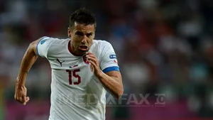 Milan Baros şi-a anunţat retragerea din naţionala Cehiei