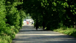 Licitaţie pentru refacerea aleilor din zonele Mihai Bravu, Pantelimon, Lacul Tei şi Teiul Doamnei