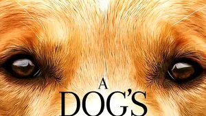 VIDEO Echipa filmului „Câinele, adevăratul meu prieten“ a fost acuzată de cruzime împotriva câinelui Hercules