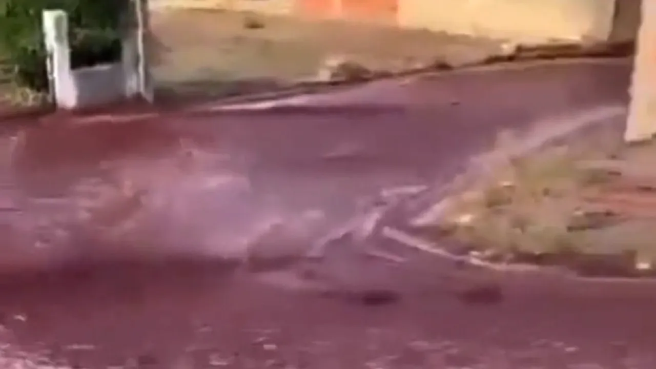 VIDEO Un oraş din Portugalia a fost inundat cu 2,2 milioane de litri de vin roşu