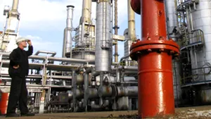 Instanţa a anulat 400 de milioane de lei la datoriile Rafo către stat