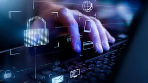 Mediul online, pariul câştigător în pandemie. Ce categorii de produse au fost în topul căutărilor în e-commerce