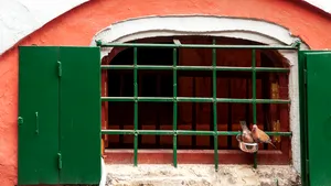 COMENTARIU Lelia Munteanu: Yok