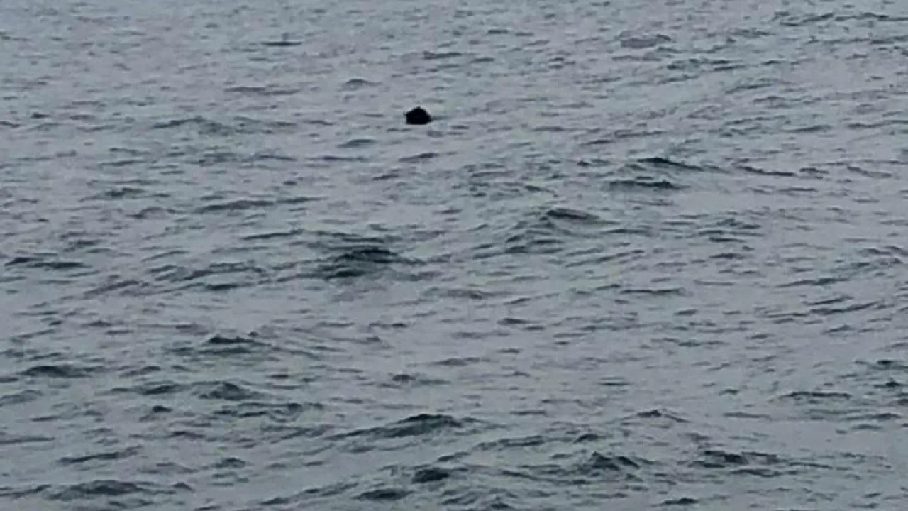 Mină marină, descoperită în apropiere de Portul Constanţa

