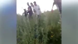 IMAGINI cu puternic impact emoţional: Pui de urs, chinuit fără milă de mai mulţi bărbaţi, după ce a fost găsit lângă o pădure - VIDEO