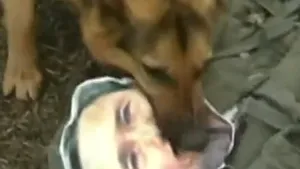 Nou film de propagandă al Phenianului: Câini care îl atacă pe ministrul sud-coreean al Apărării. 